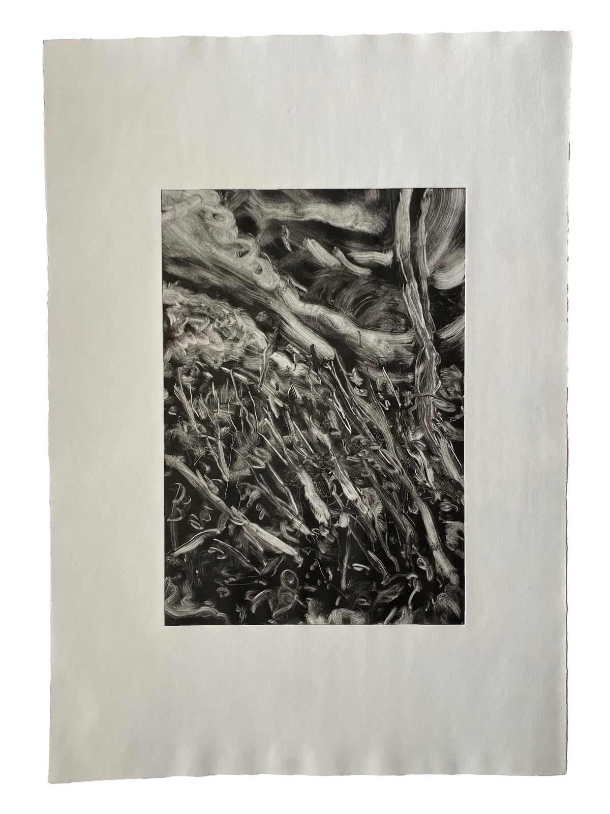 Maddie Sewall | After the Bushfire