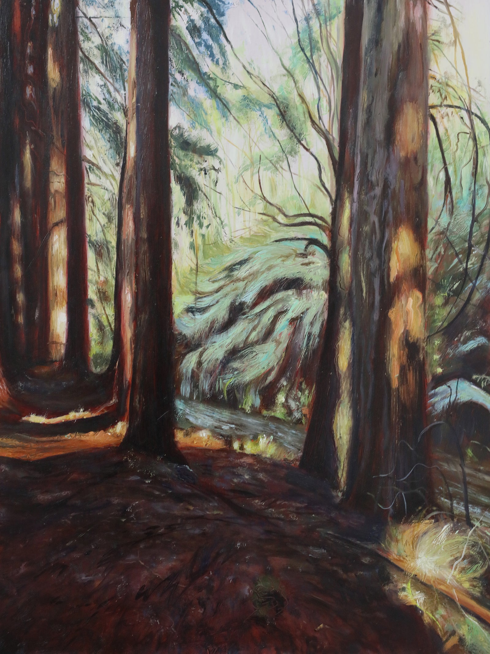 Alex Kynaston | Redwoods