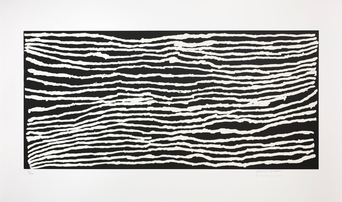 Alice Nampitjinpa Dixon | Tjilkamala - Porcupine rockhole 20-AN199