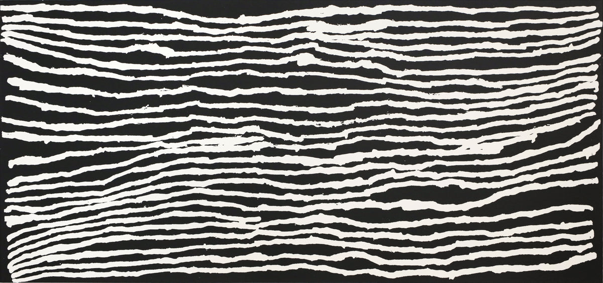 Alice Nampitjinpa Dixon | Tjilkamala - Porcupine rockhole 20-AN199