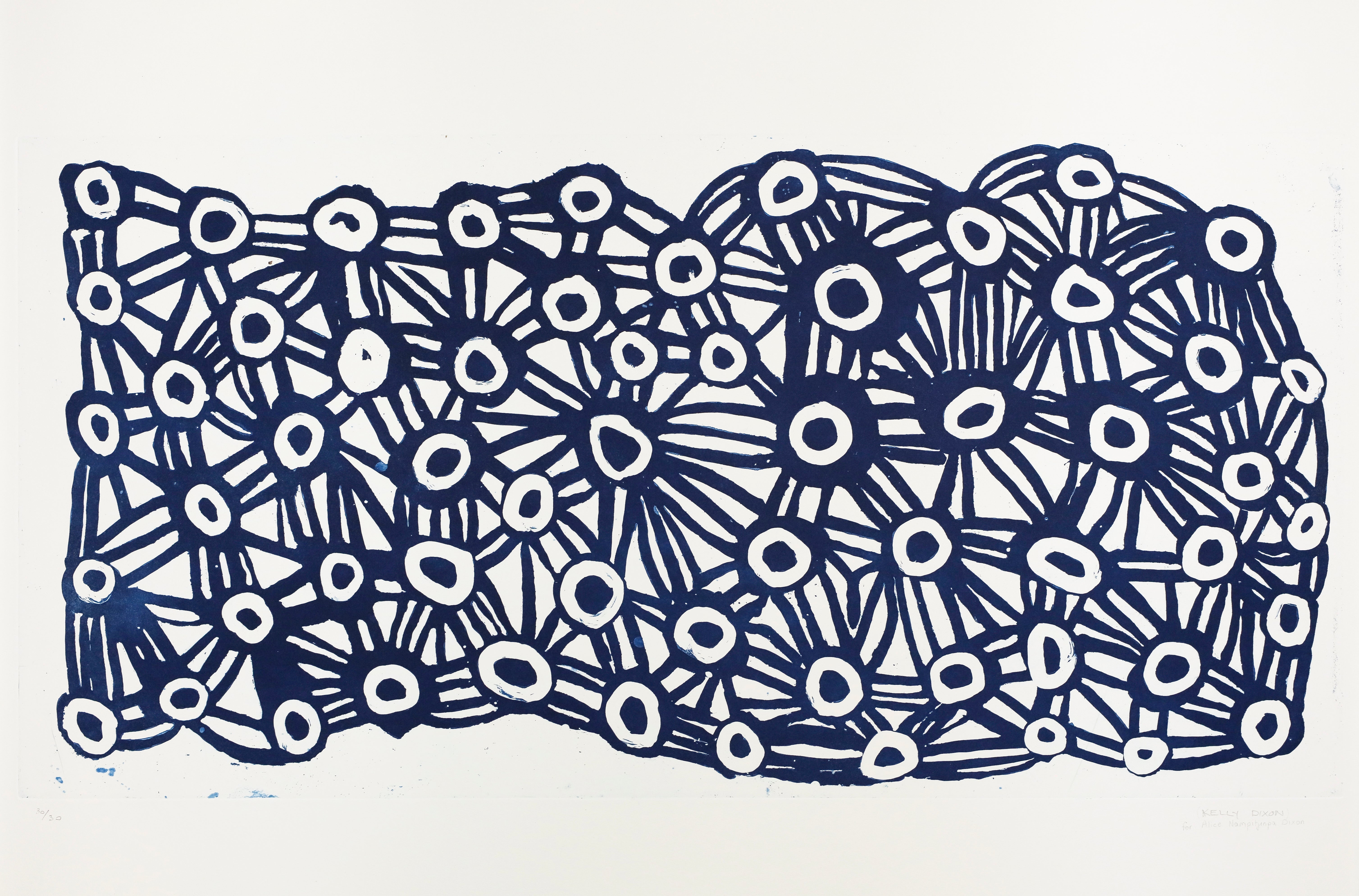 Brunswick Street Gallery - Alice Nampitjinpa Dixon | Tjilkamala