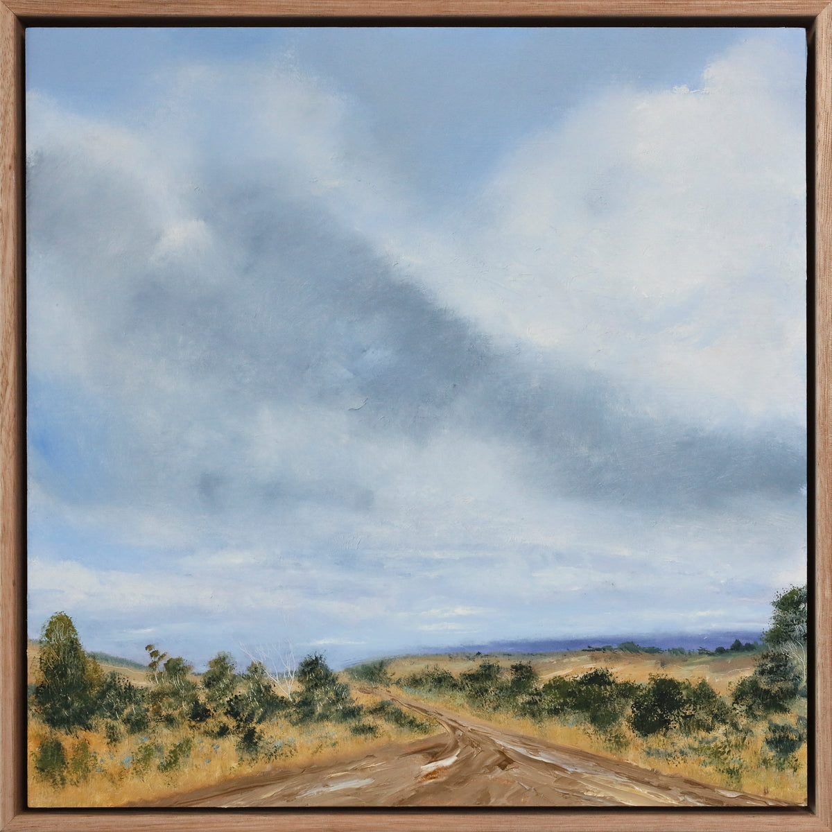 Allison Taplin | Dirt roads and dreaming