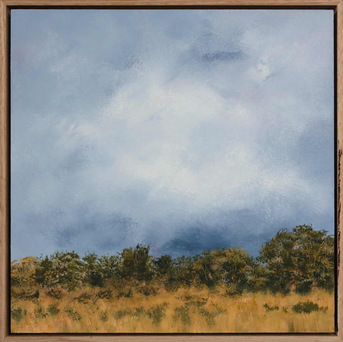 Allison Taplin | Under the Australian sun
