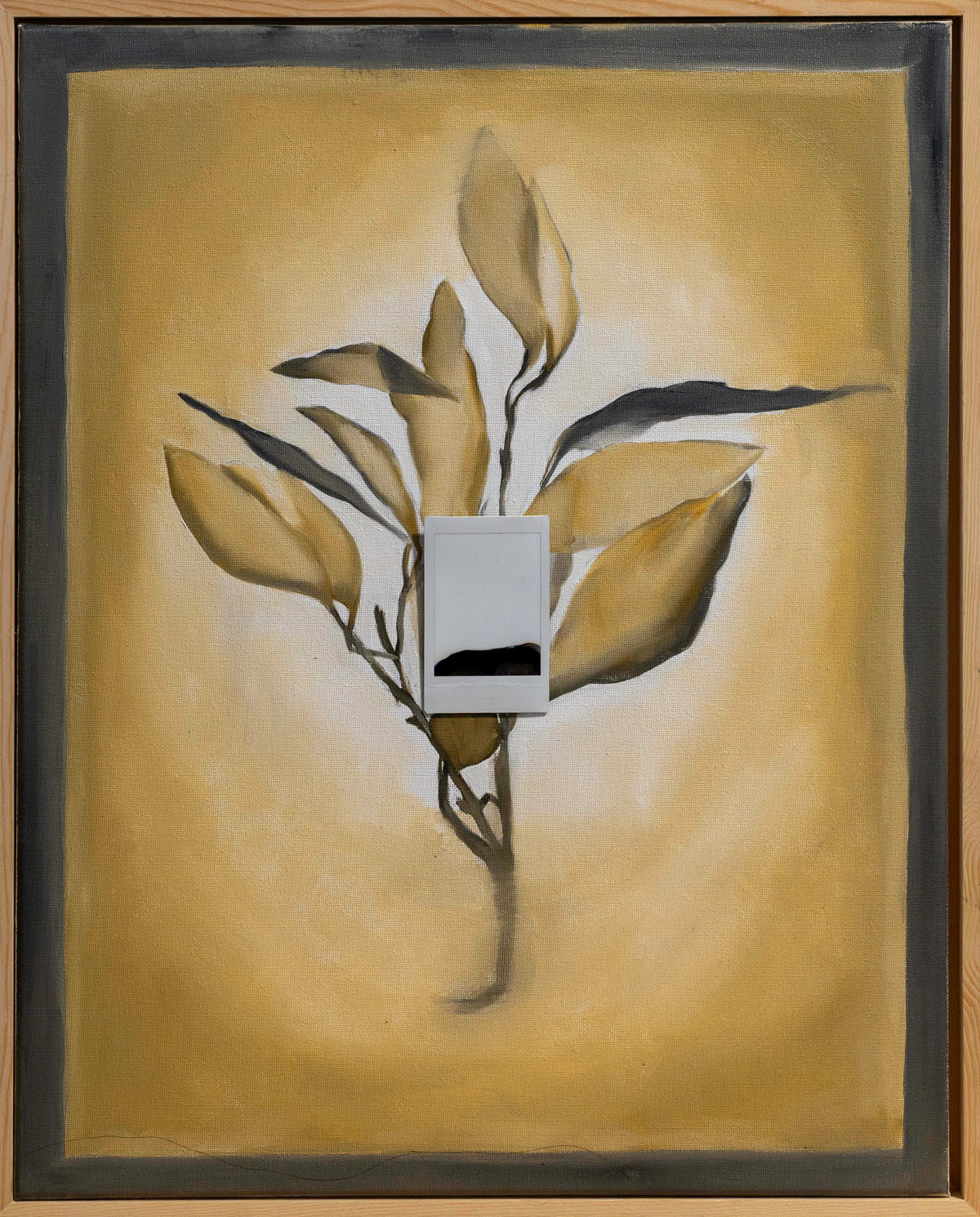 Allanah Cassidy | Sera Vu