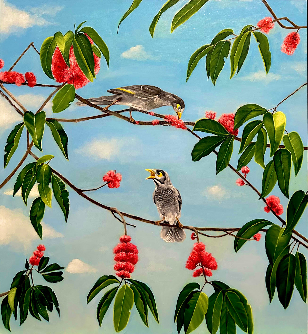 Alyssa Joy Black | Encounter with Noisy Miners