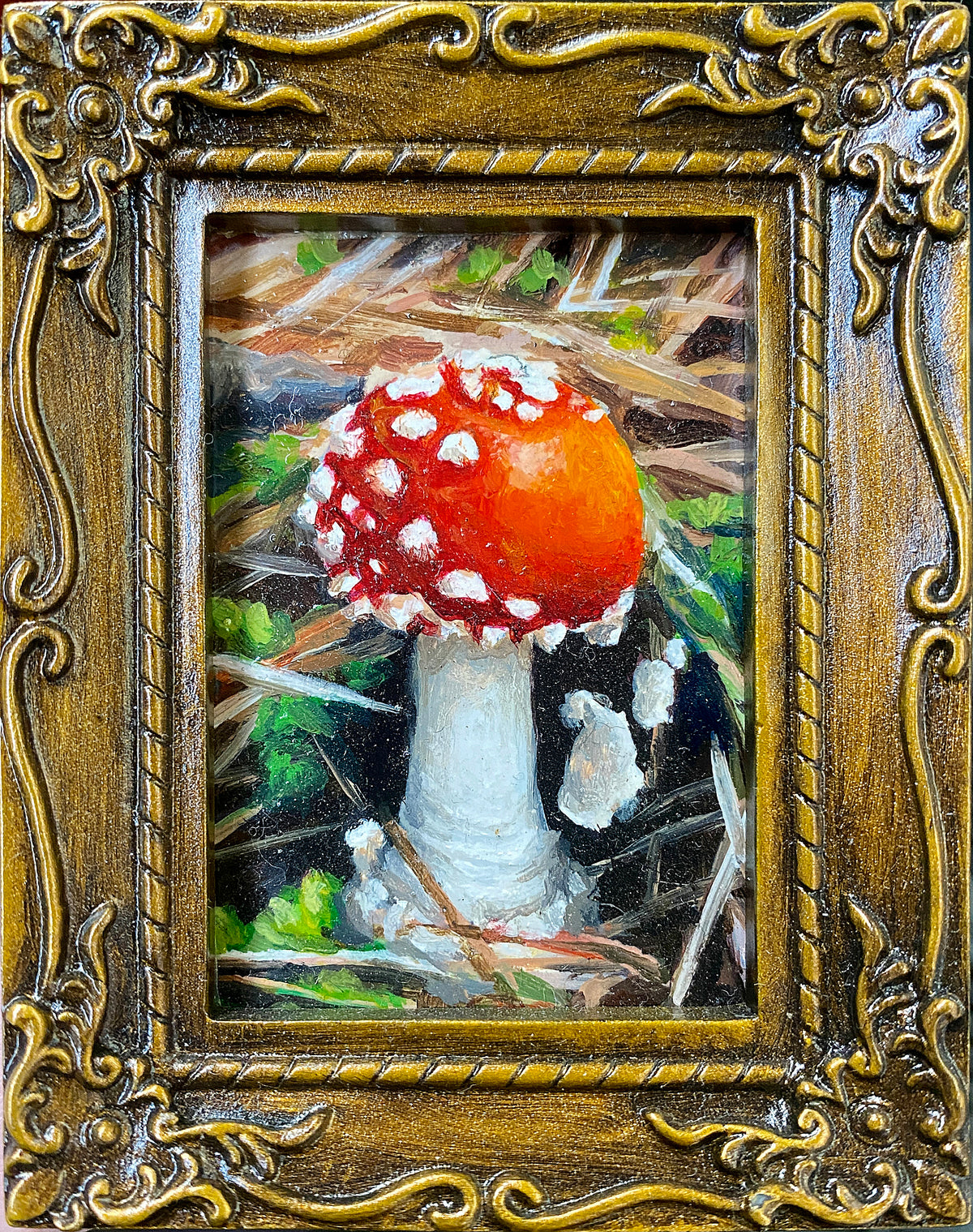 Tracie MacVean | Amanita Muscaria
