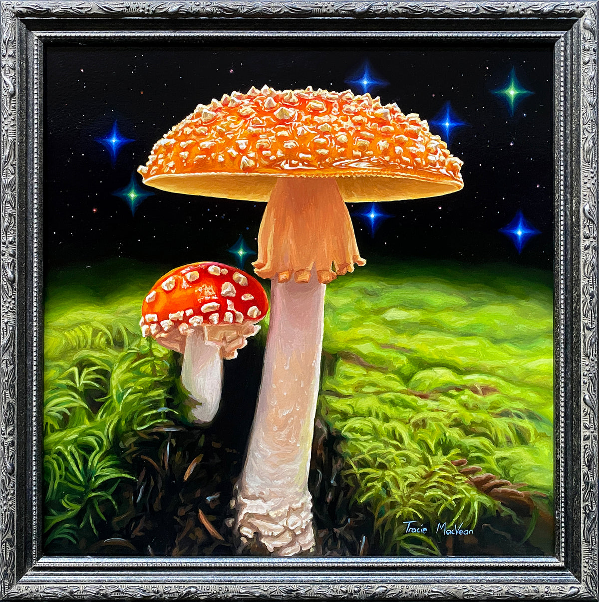 Tracie MacVean | Amanita Dreaming