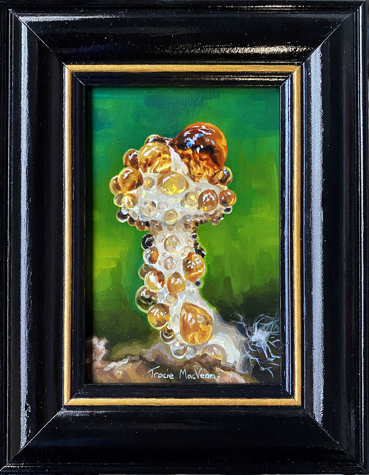 Tracie MacVean | Amber Guttation on Tiny Mushroom