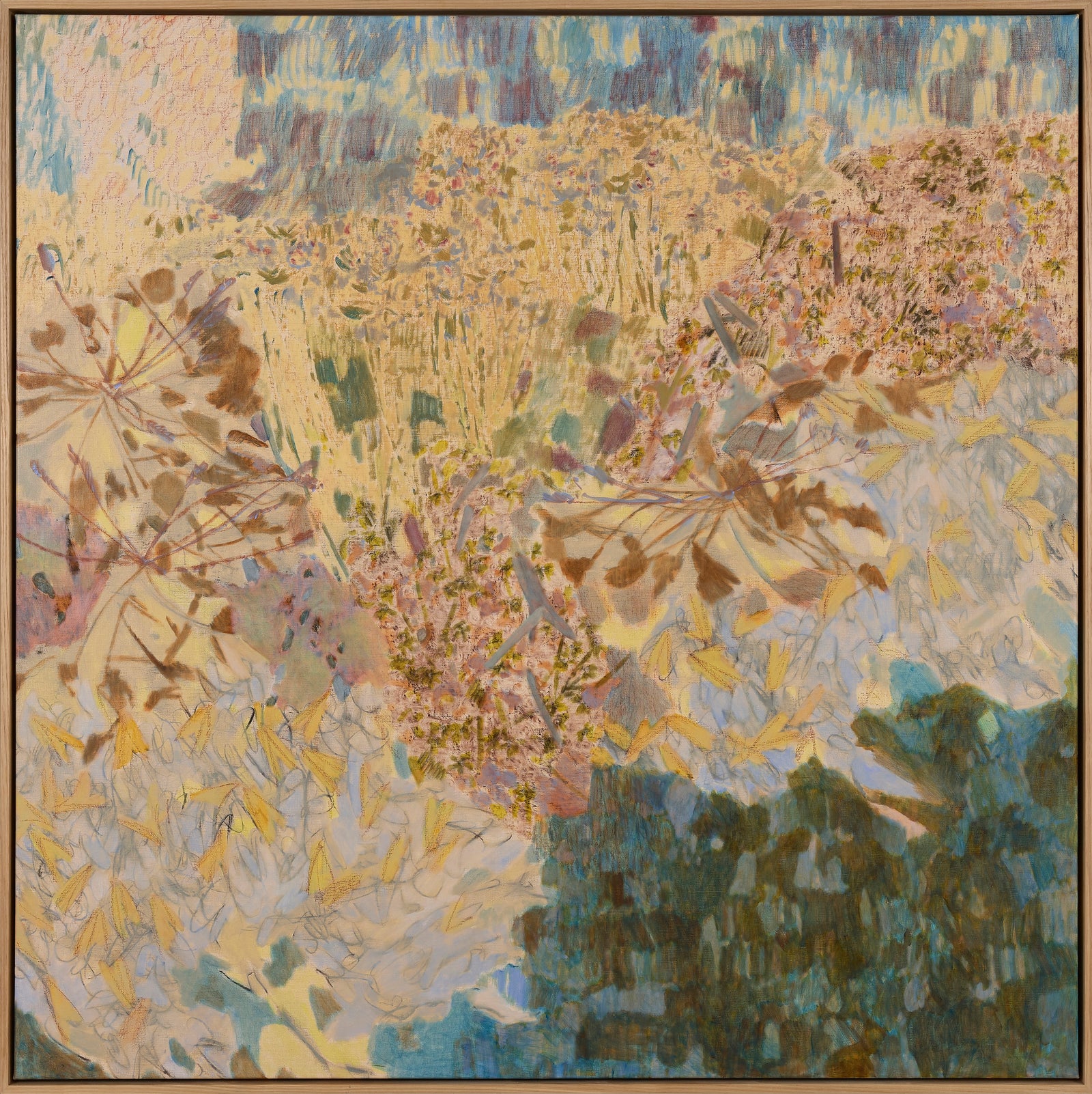 Amy Wright | Seed Pods And The Fluttering