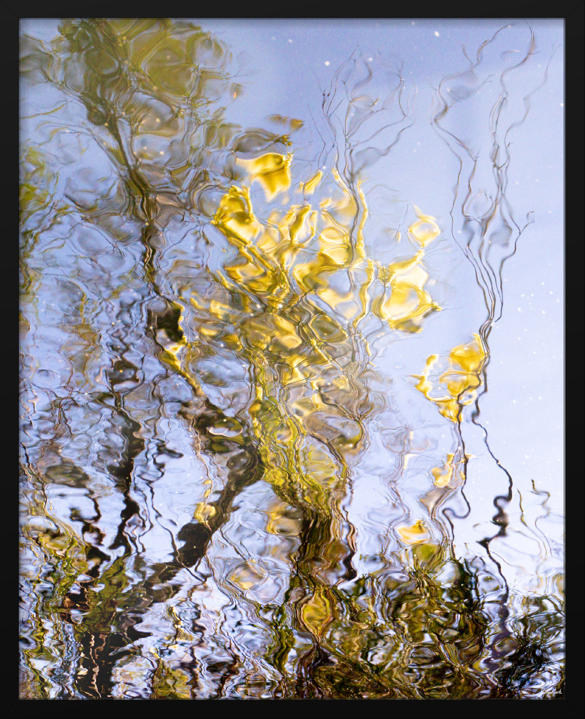 Ryan North | An Ode to Wattle