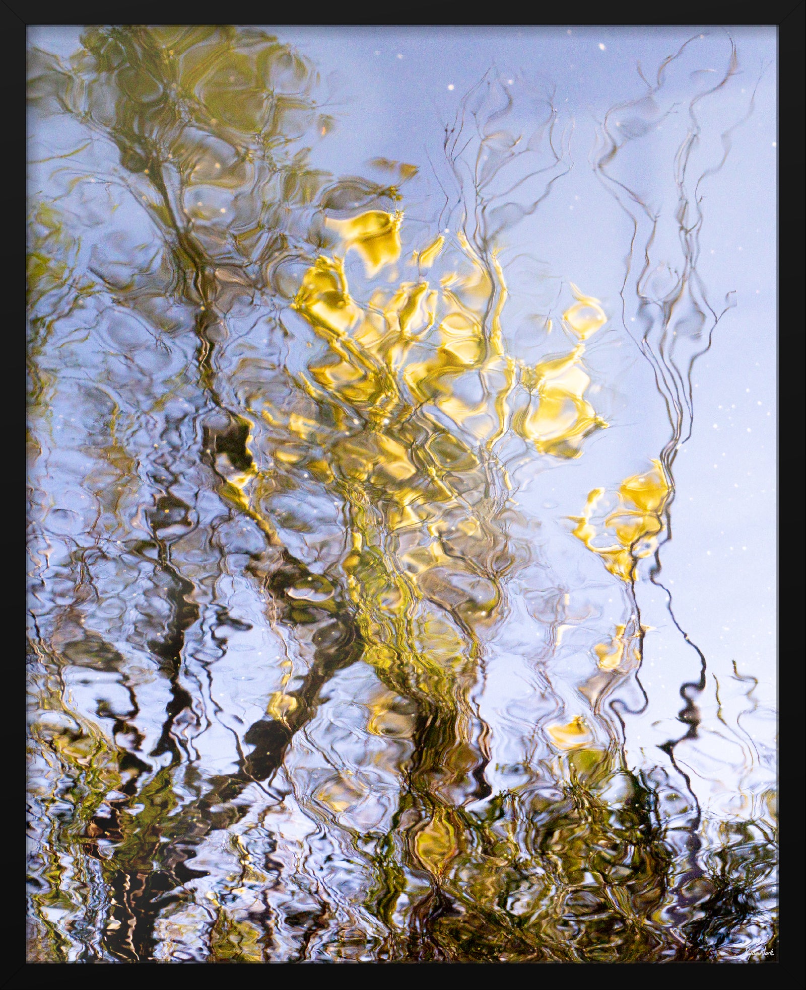Ryan North | An Ode to Wattle