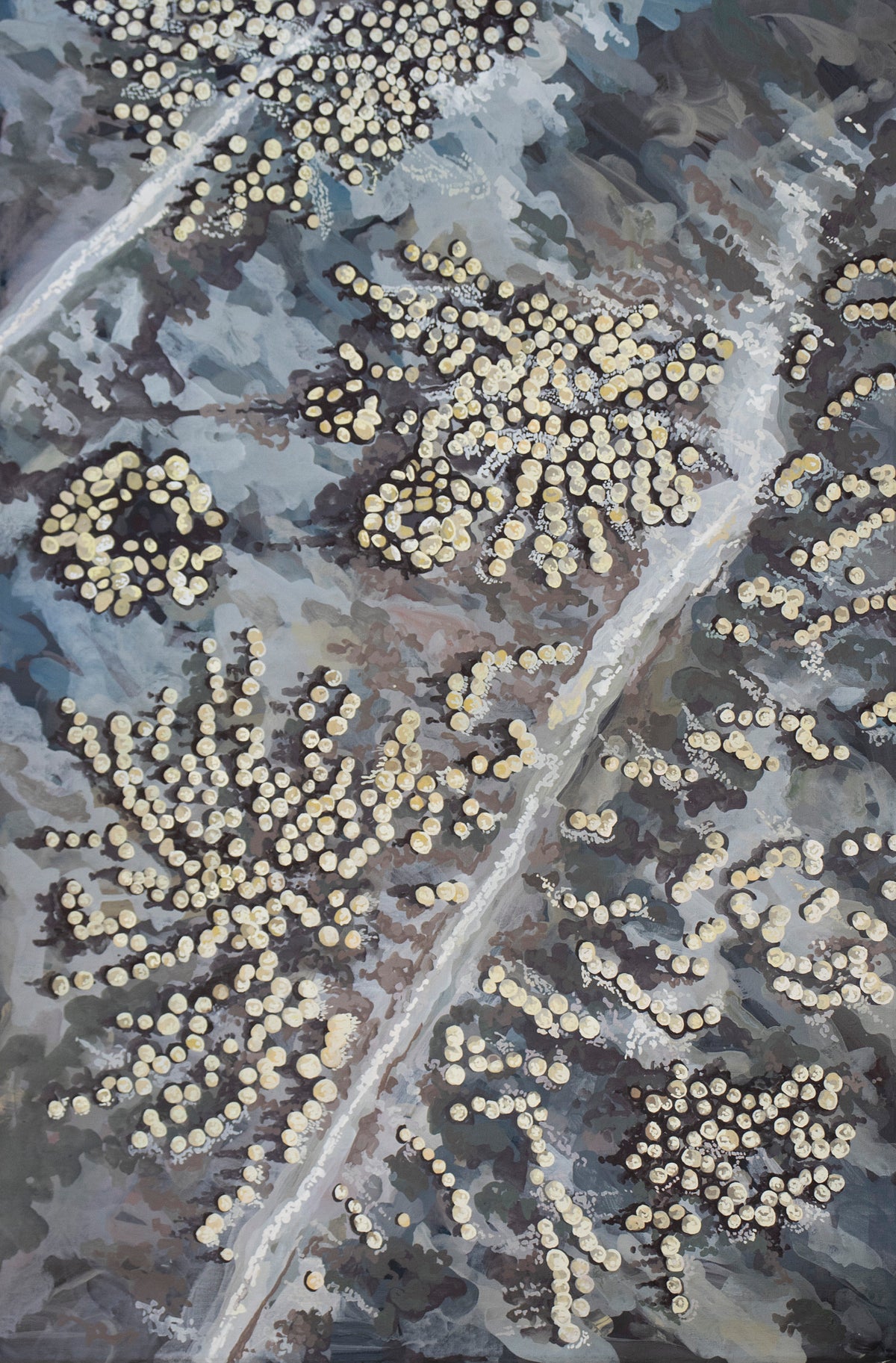 Anna Spencer | Cable Beach Crab Composition