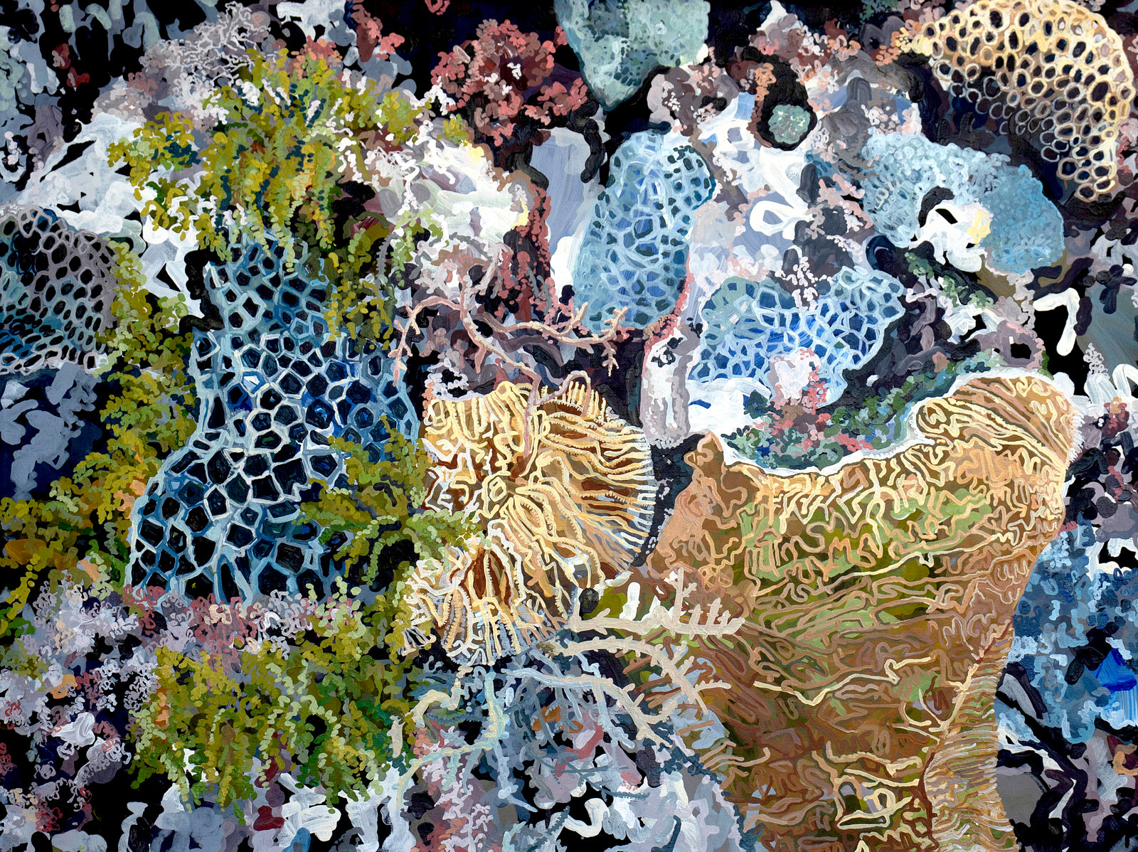 Anna Spencer | Reef Reveal