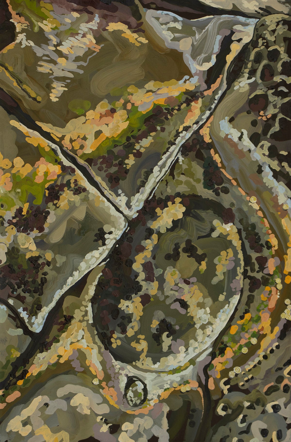 Anna Spencer | Rock Pool Gaze