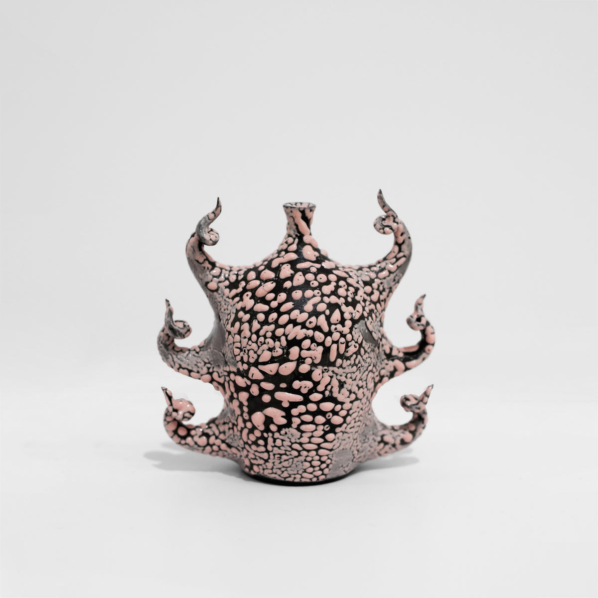 Lauren Cameron | Arid