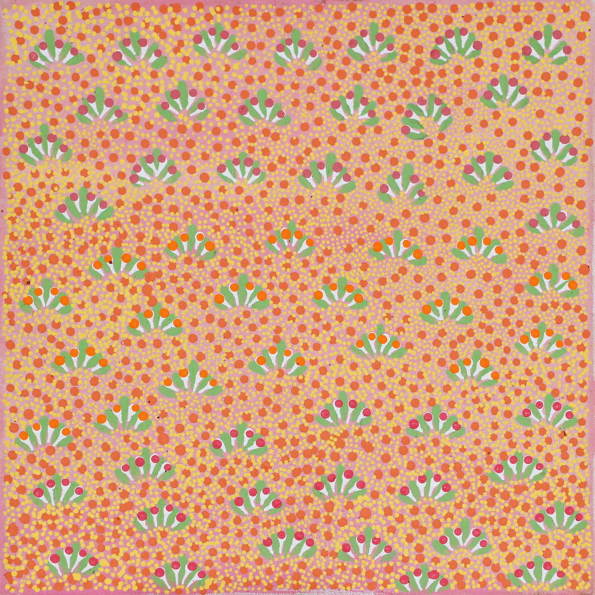 Dakota Ngwarraye Petrick | Artna Alpeyt (Bush Flowers) 219-26