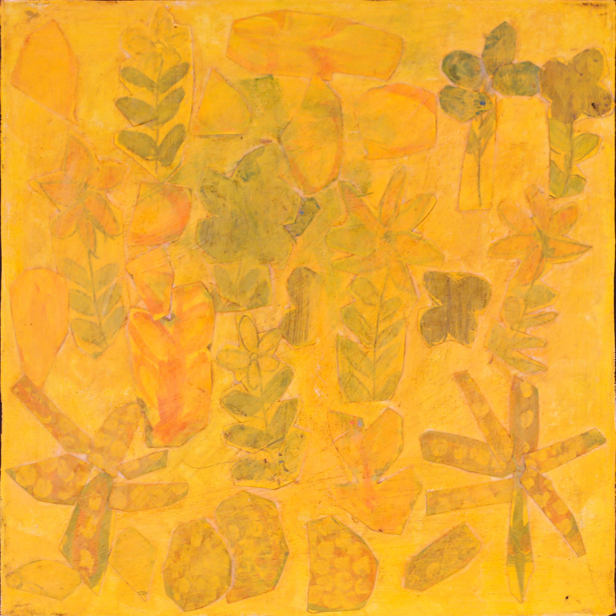 Rosie Kemarre Morton | Atyenh Aknyey Amper (My Father's Country) and Bush Medicine 68-26