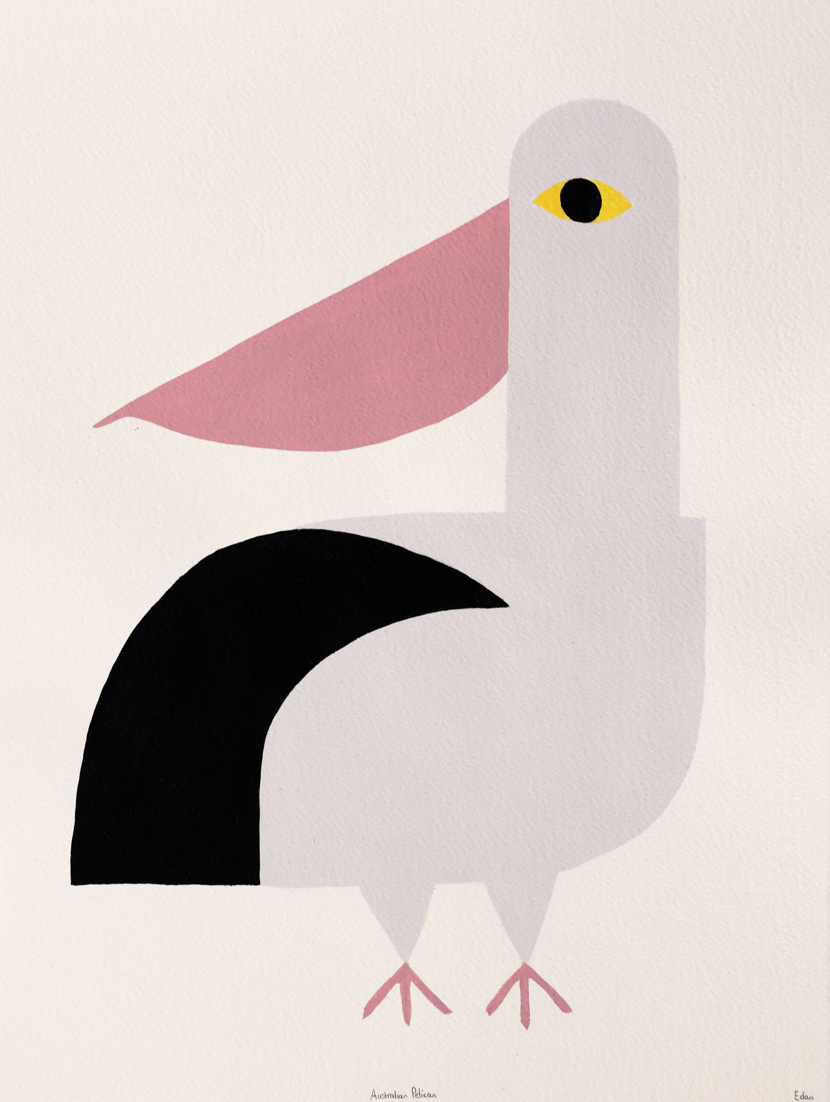 Edan Azzopardi | Australian Pelican