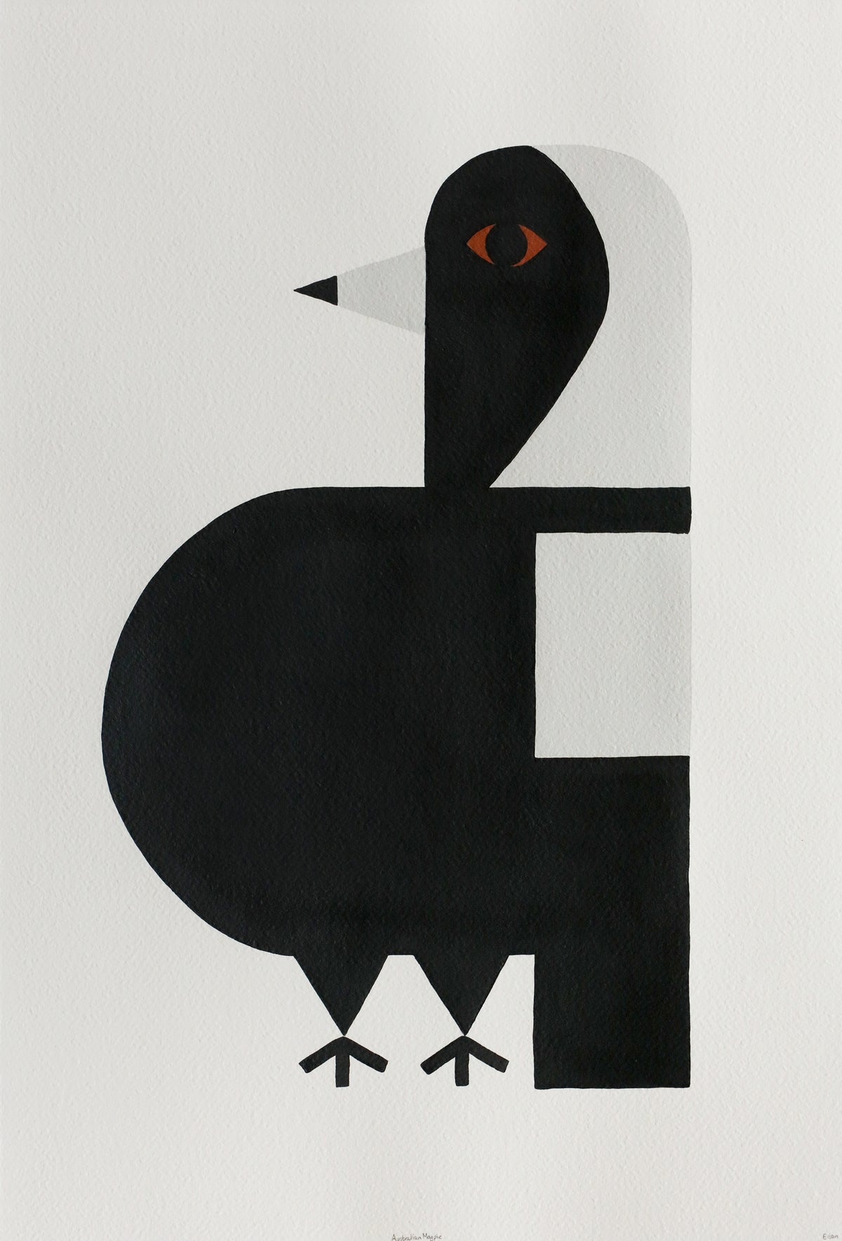 Edan Azzopardi | Australian magpie