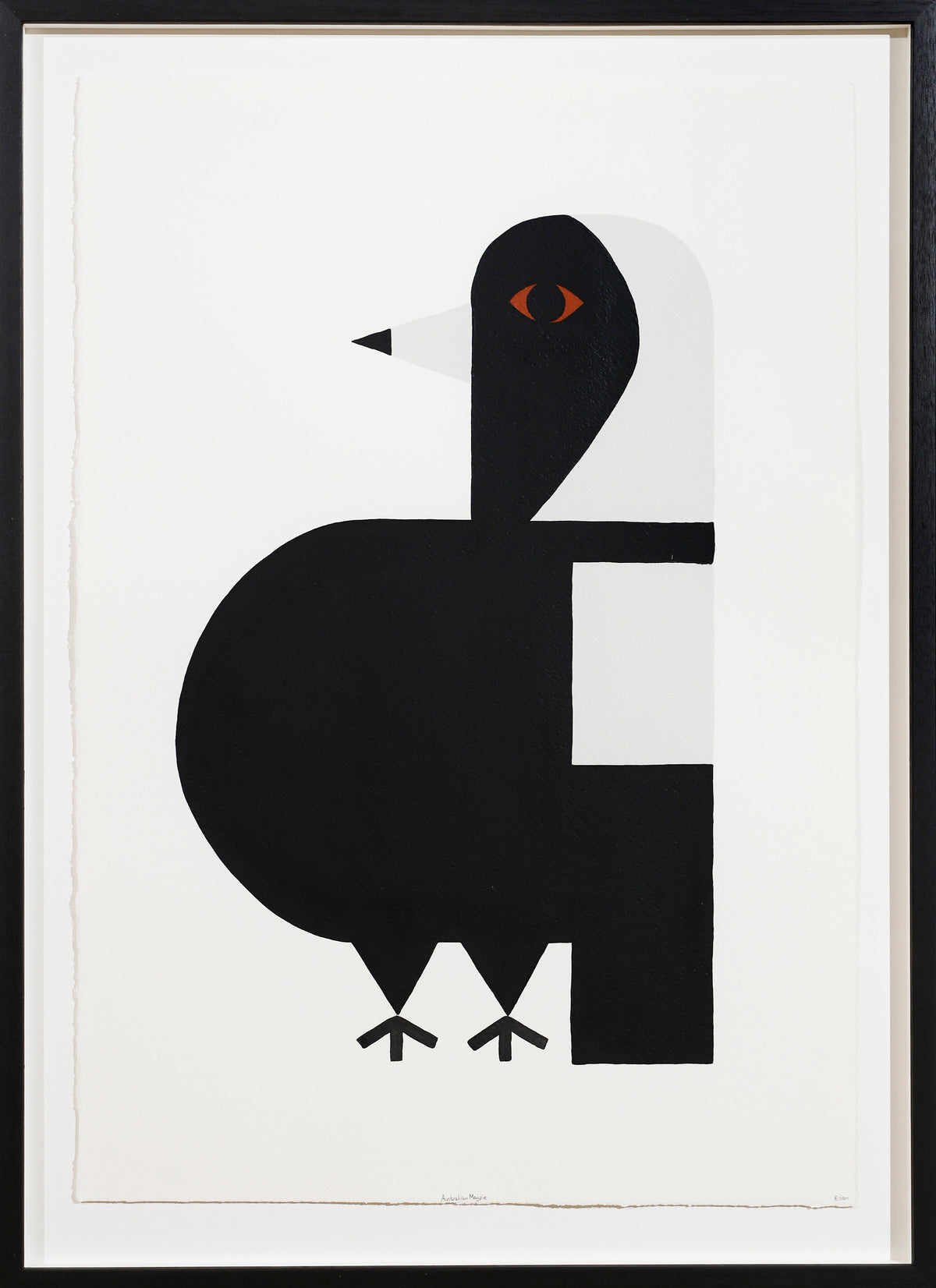 Edan Azzopardi | Australian magpie