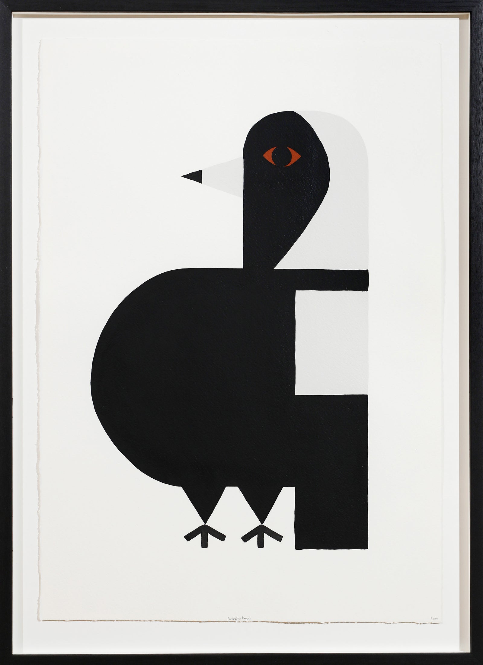 Edan Azzopardi | Australian magpie
