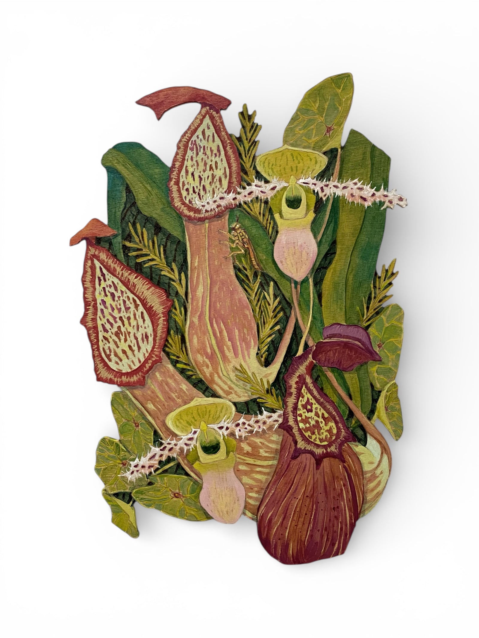 Sonia Martignon | Awaken