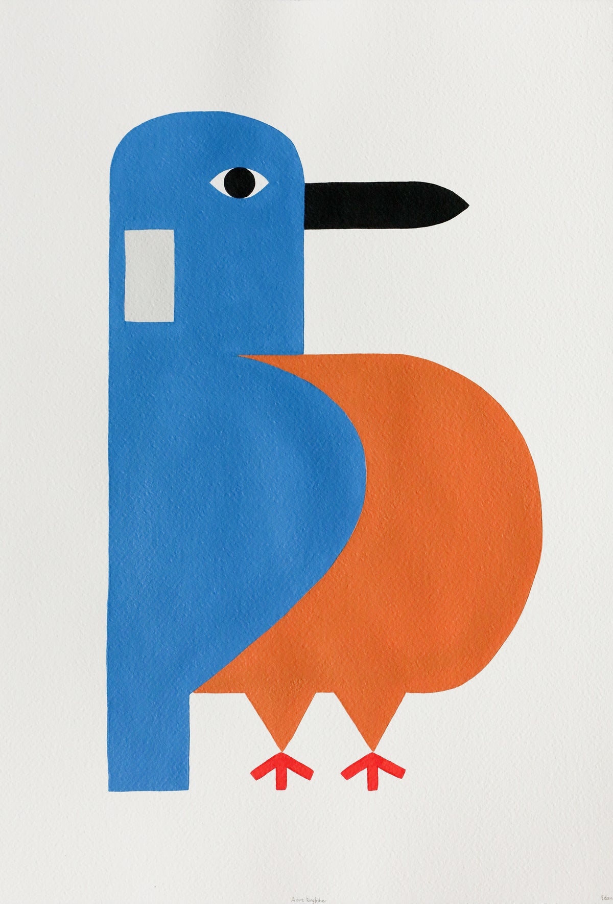 Edan Azzopardi | Azure kingfisher