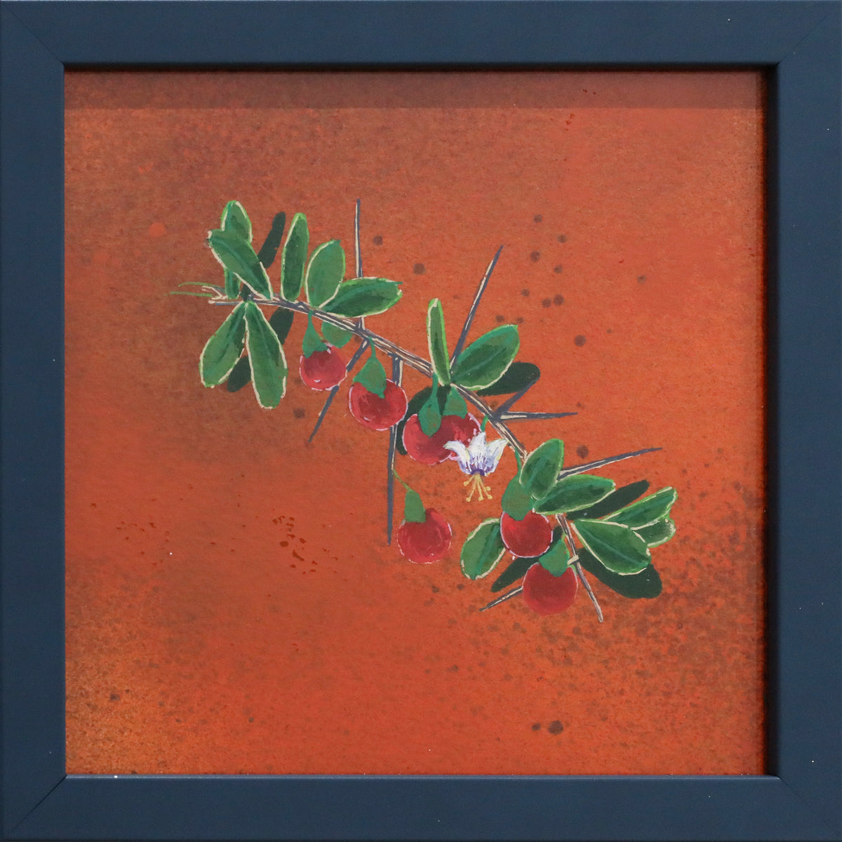 Gabrielle Bisaro | African boxthorn