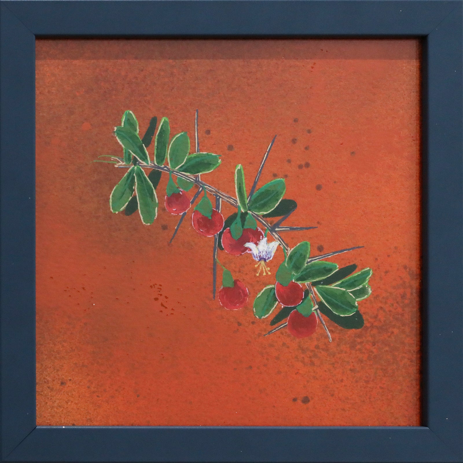 Gabrielle Bisaro | African boxthorn