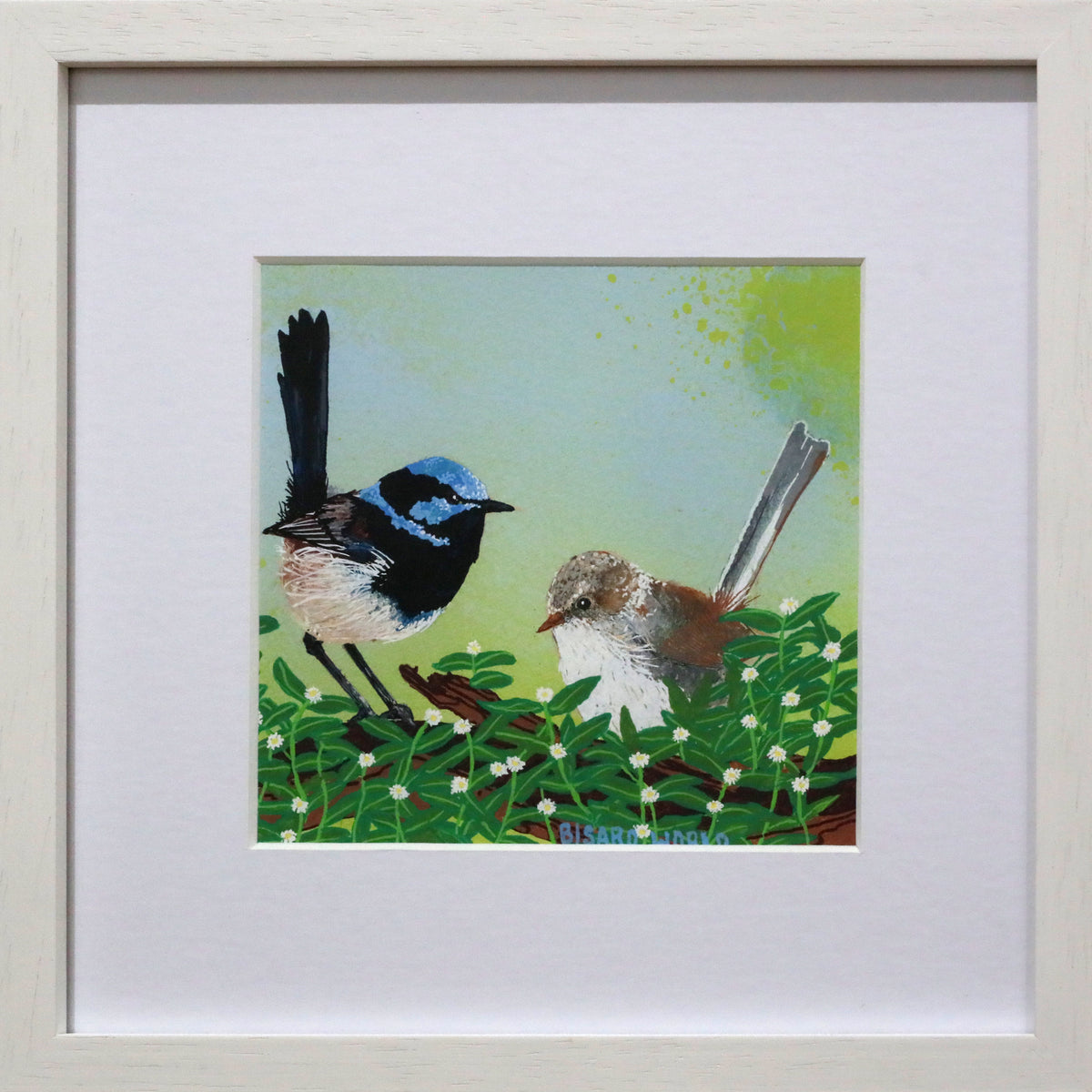 Gabrielle Bisaro | Fairy wrens in the chickweed