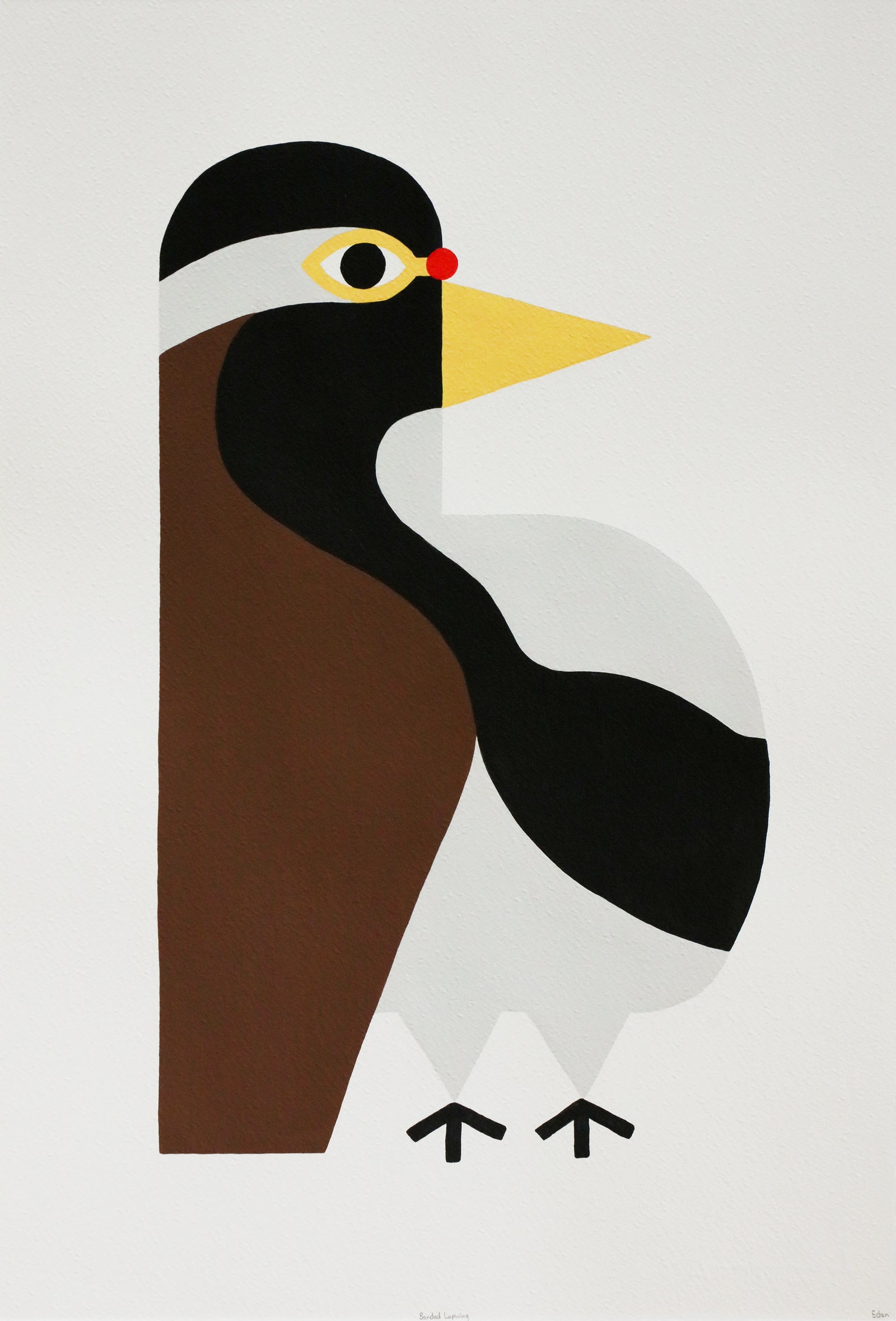 Edan Azzopardi | Banded lapwing