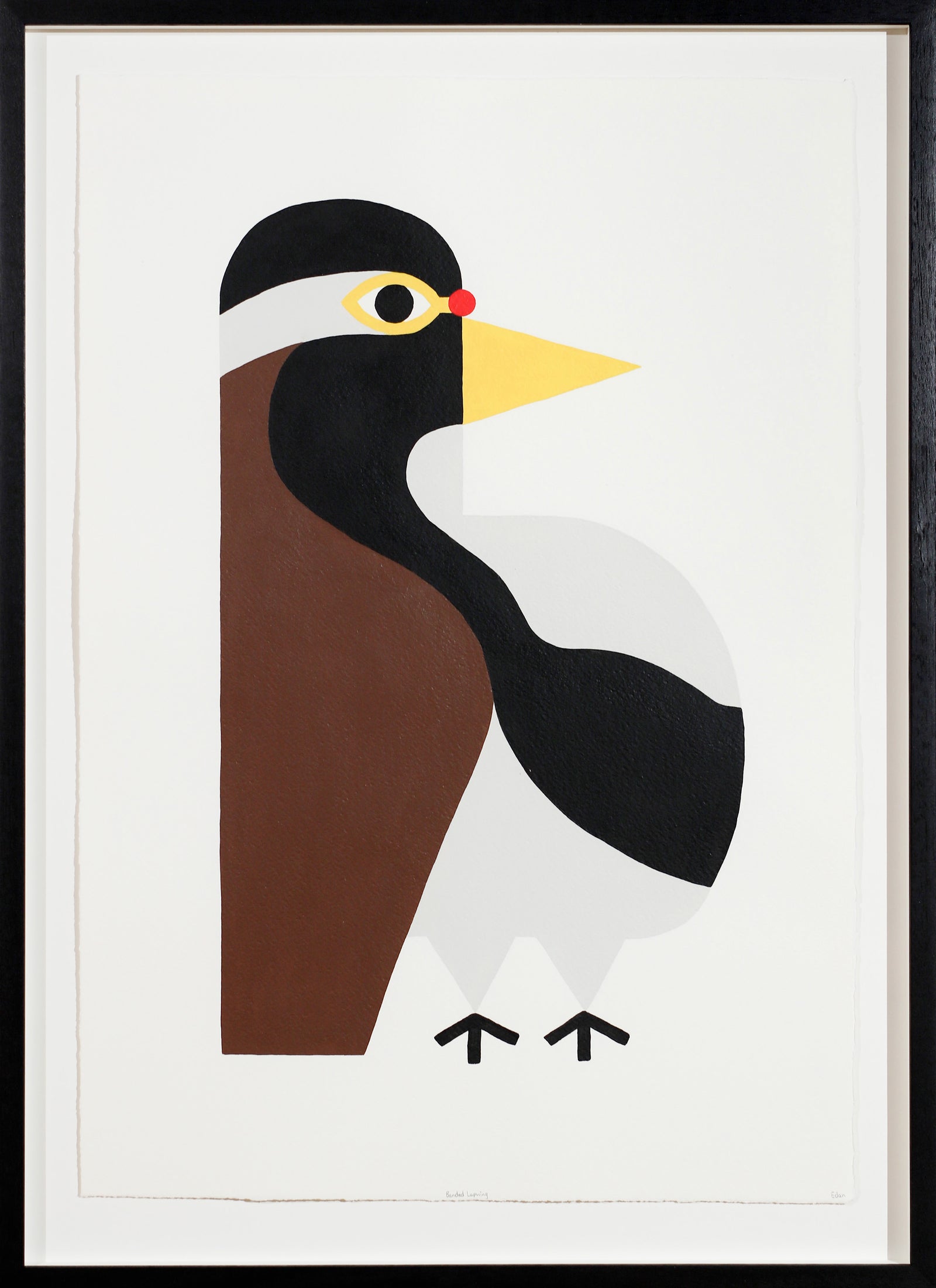 Edan Azzopardi | Banded lapwing
