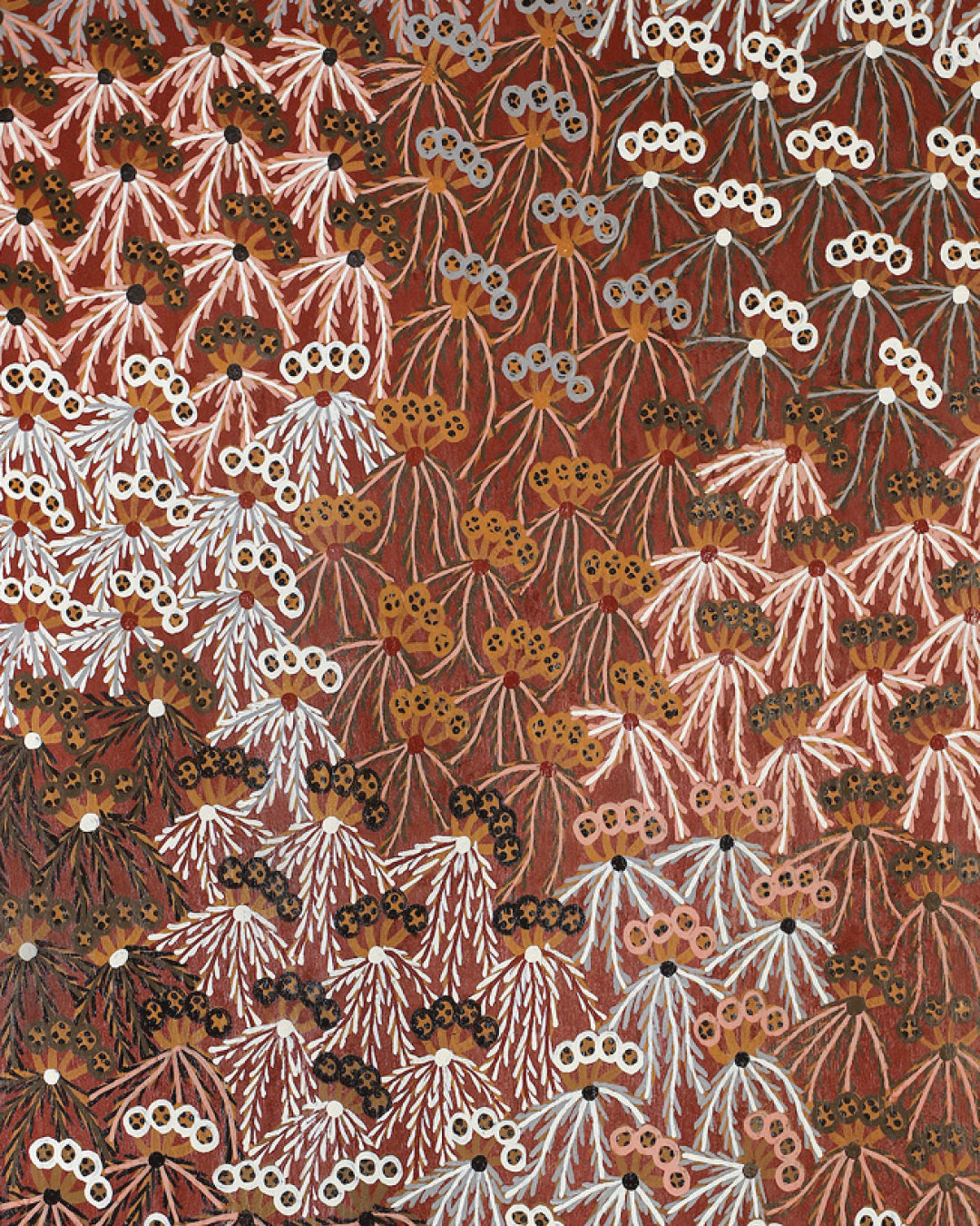 Muluymuluy Wirrpanda | Buḻwutja 2387-26