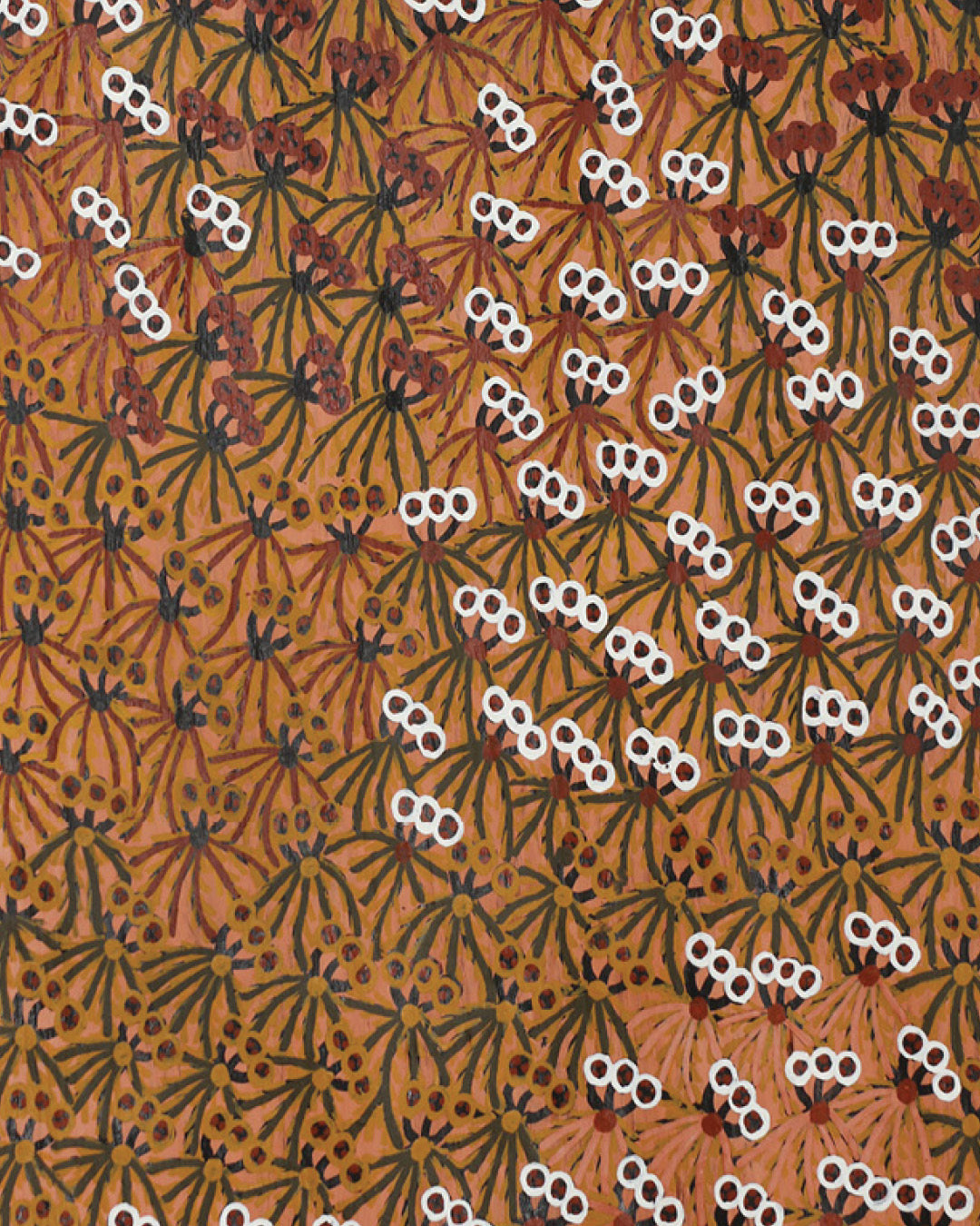 Muluymuluy Wirrpanda | Buḻwutja 546-26