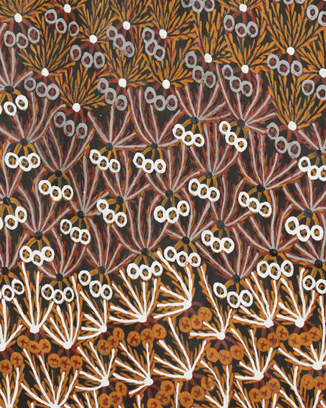 Muluymuluy Wirrpanda | Buḻwutja 1853-26