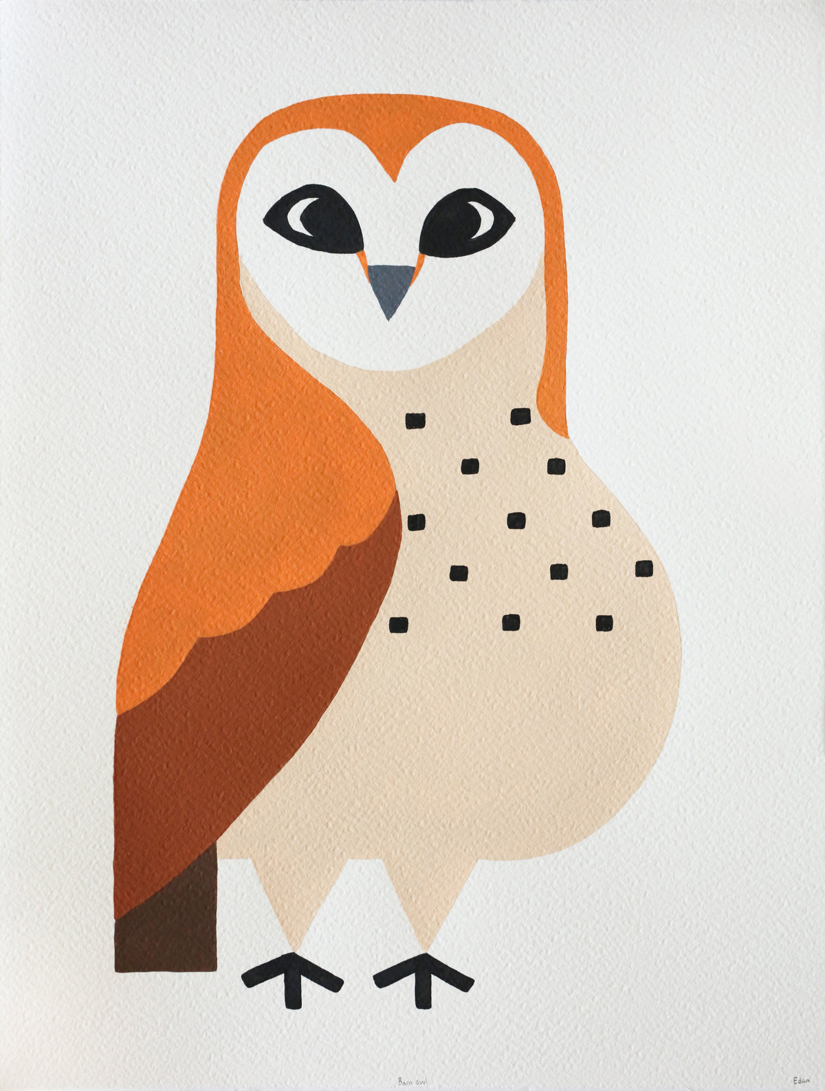 Edan Azzopardi | Barn Owl