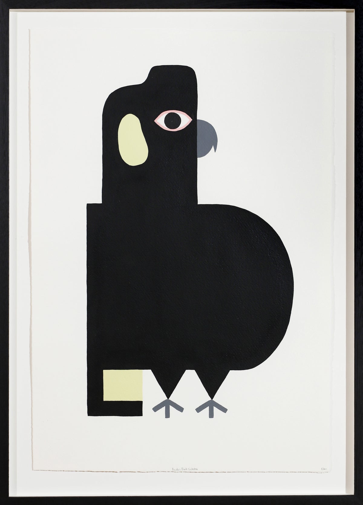 Edan Azzopardi | Baudin’s black cockatoo