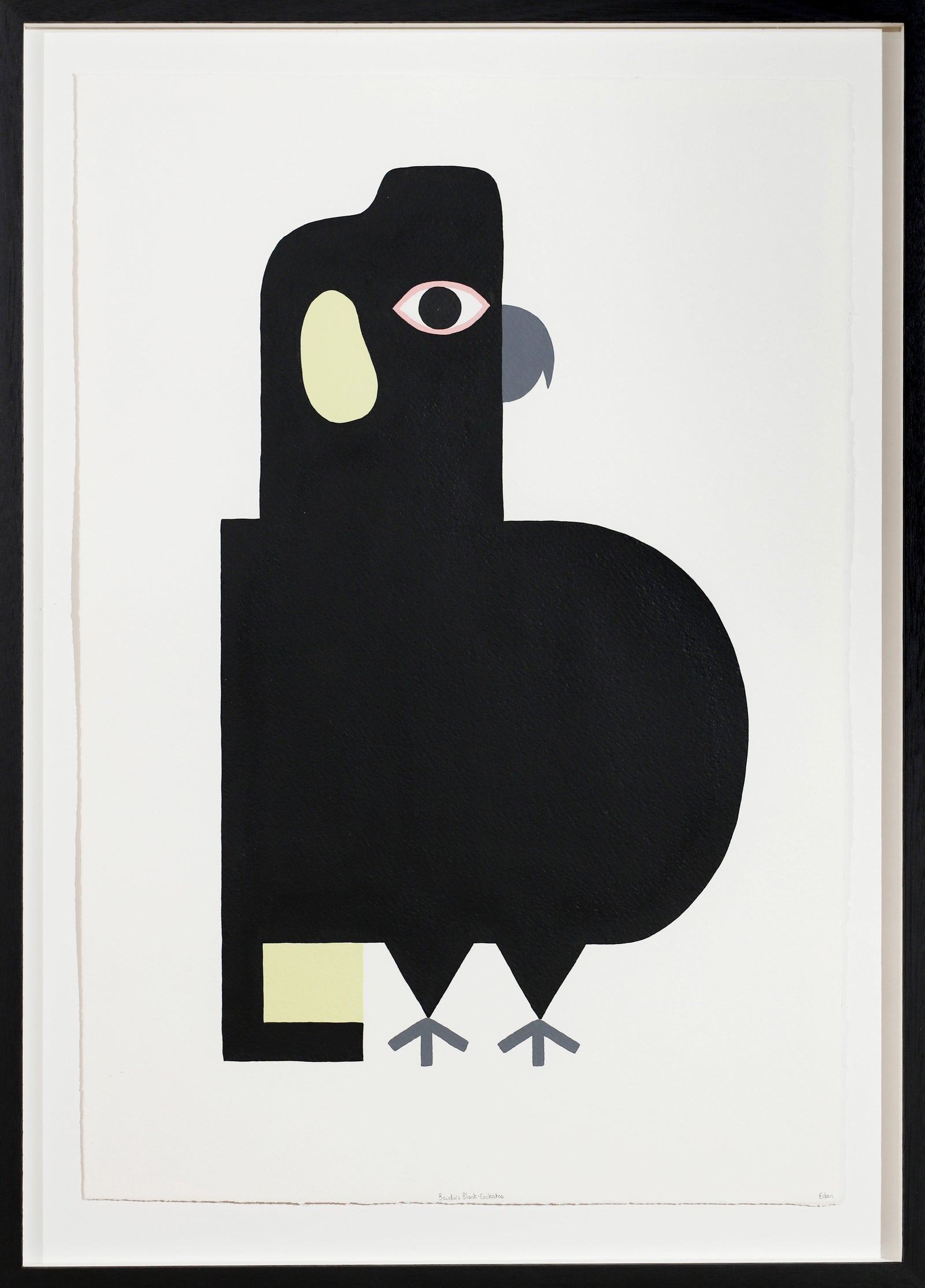 Edan Azzopardi | Baudin’s black cockatoo