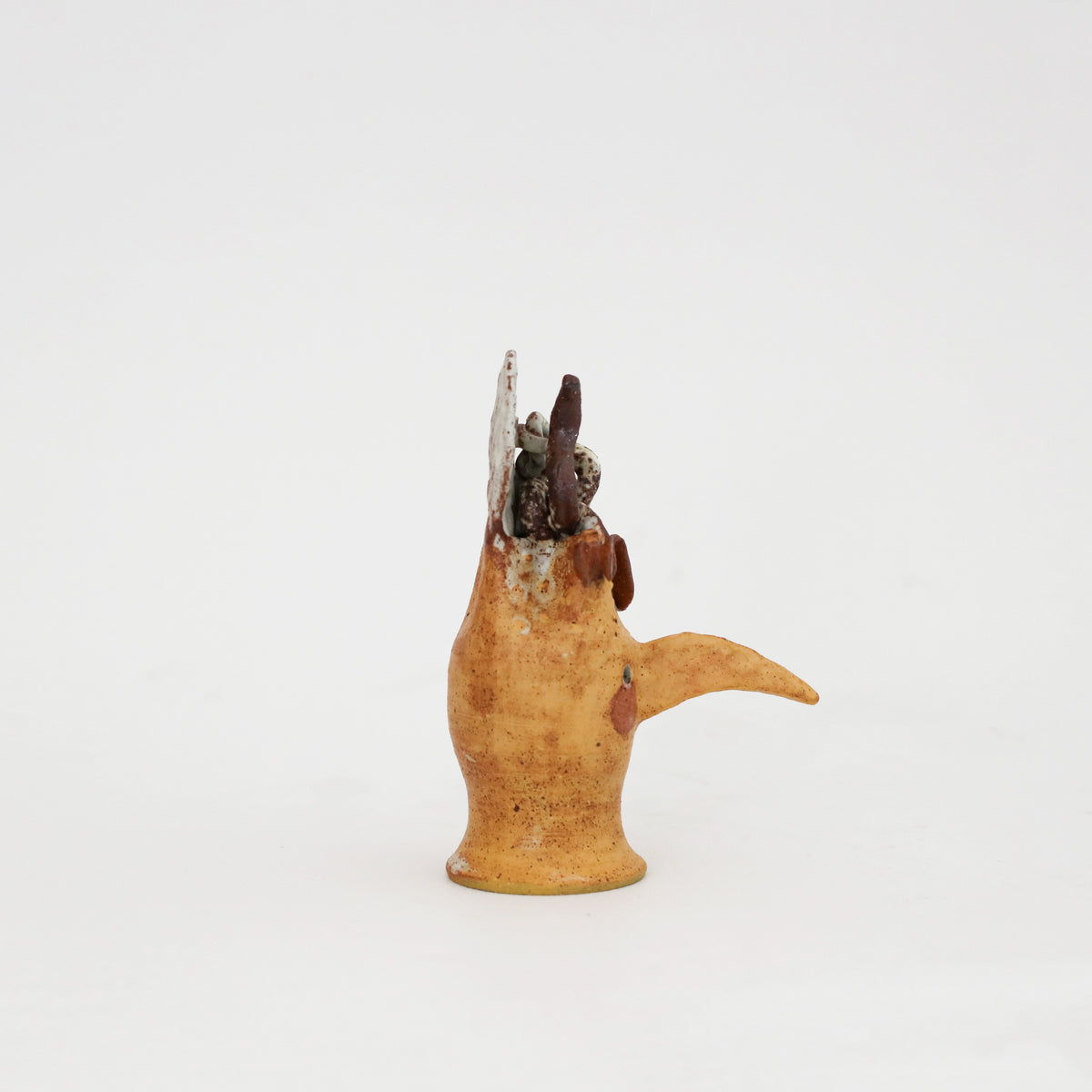 Peta Armstrong | Bird Skull 2