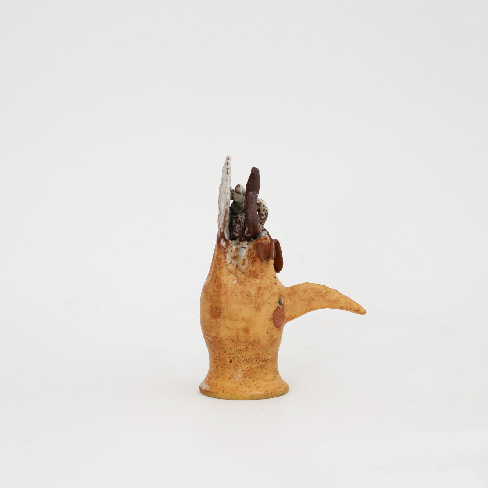 Peta Armstrong | Bird Skull 2