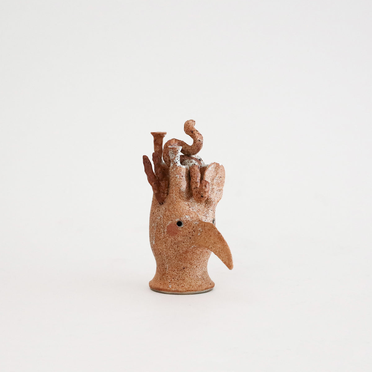 Peta Armstrong | Bird Skull 3