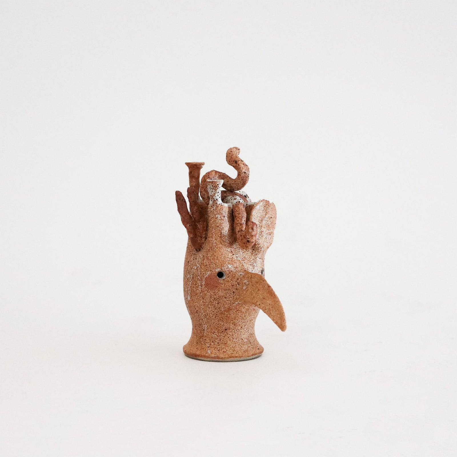 Peta Armstrong | Bird Skull 3
