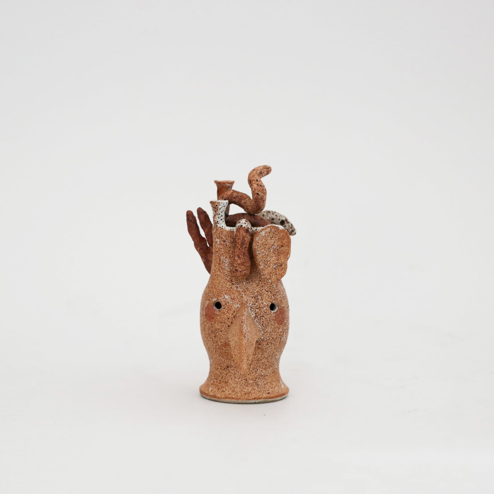 Peta Armstrong | Bird Skull 3