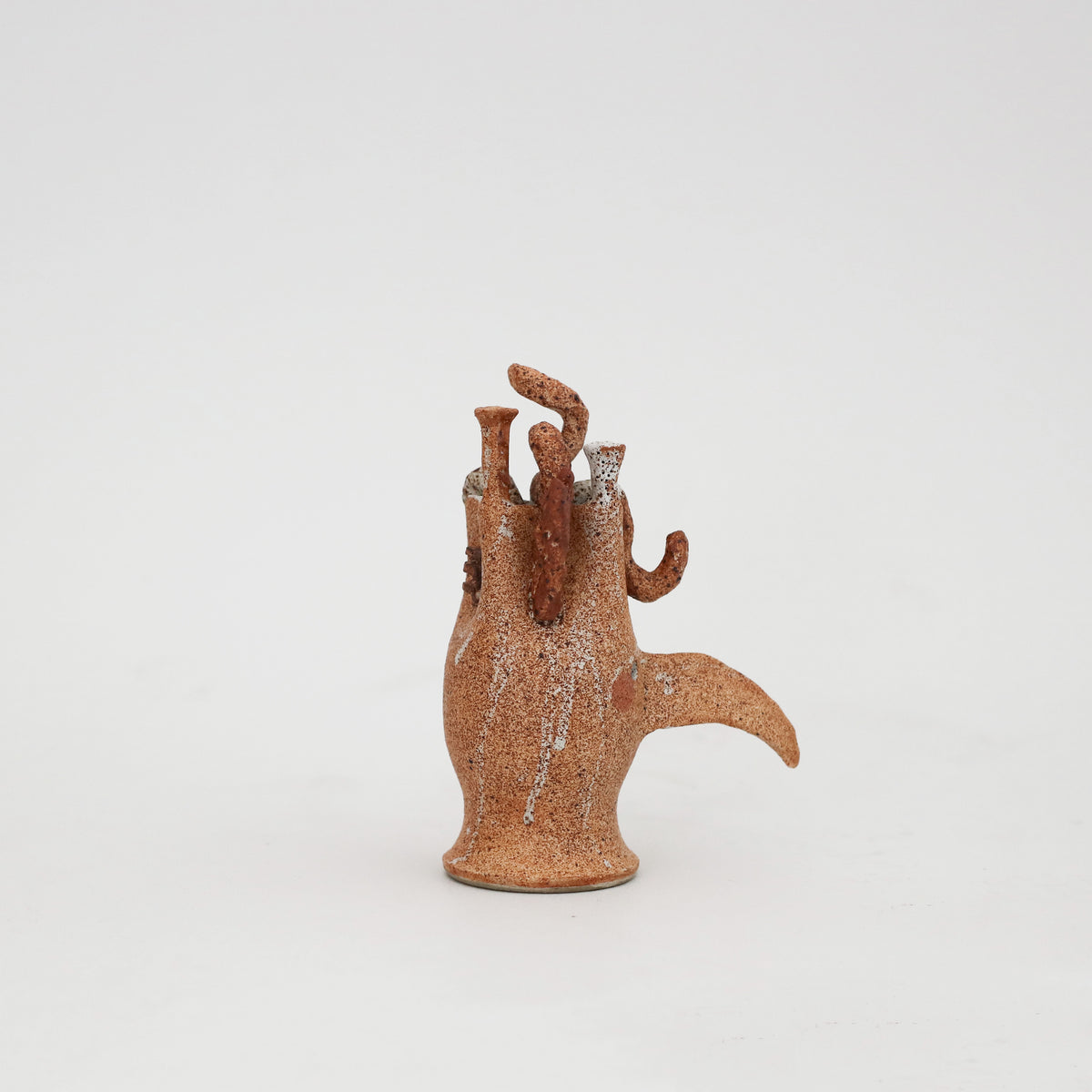 Peta Armstrong | Bird Skull 3