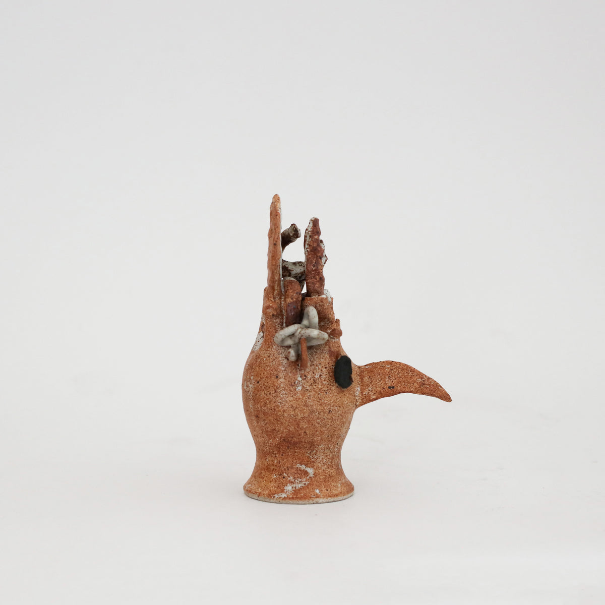 Peta Armstrong | Bird Skull 4
