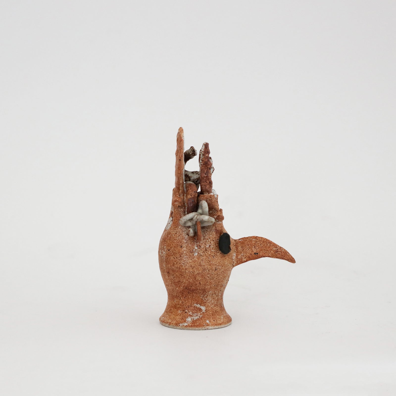 Peta Armstrong | Bird Skull 4