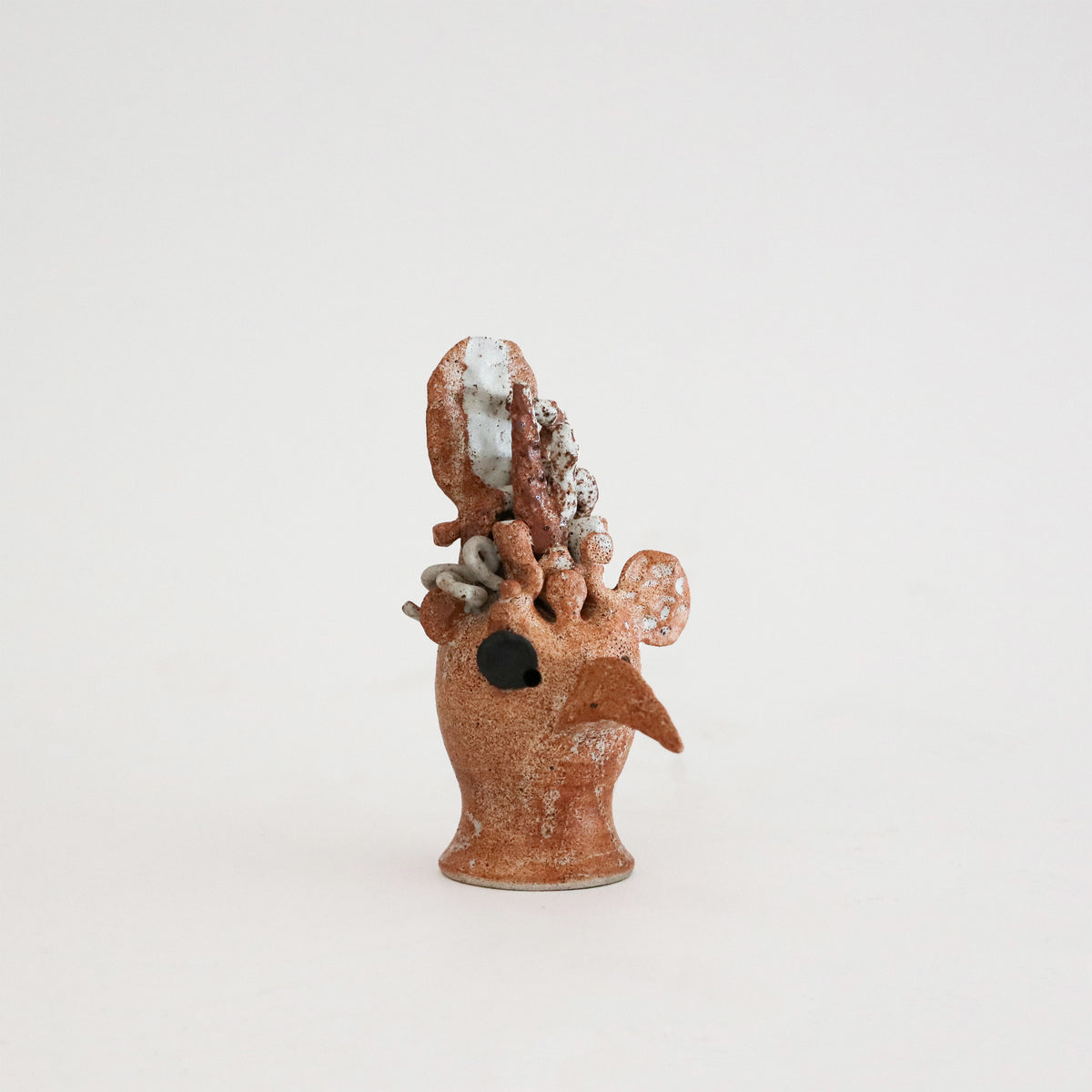 Peta Armstrong | Bird Skull 4
