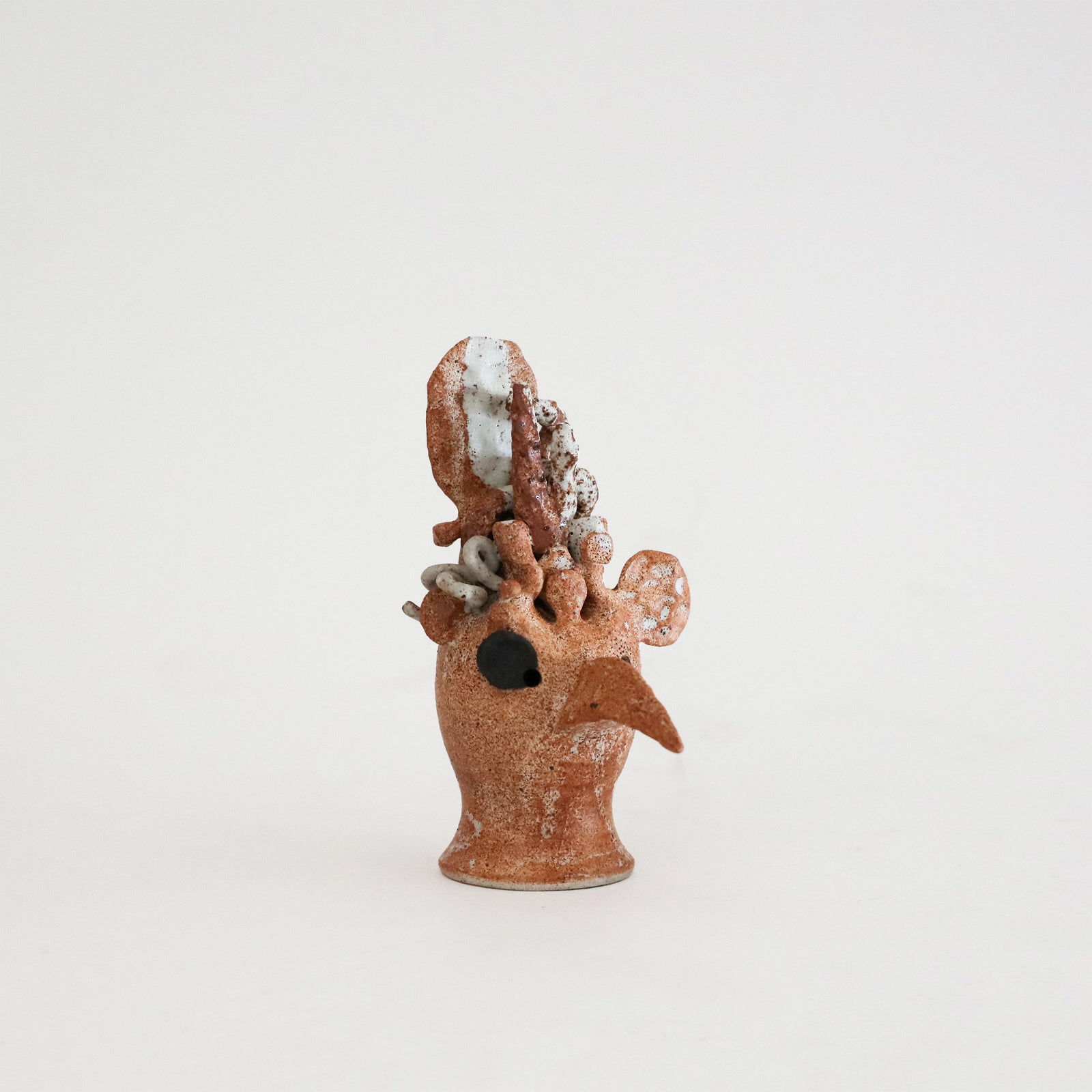 Peta Armstrong | Bird Skull 4