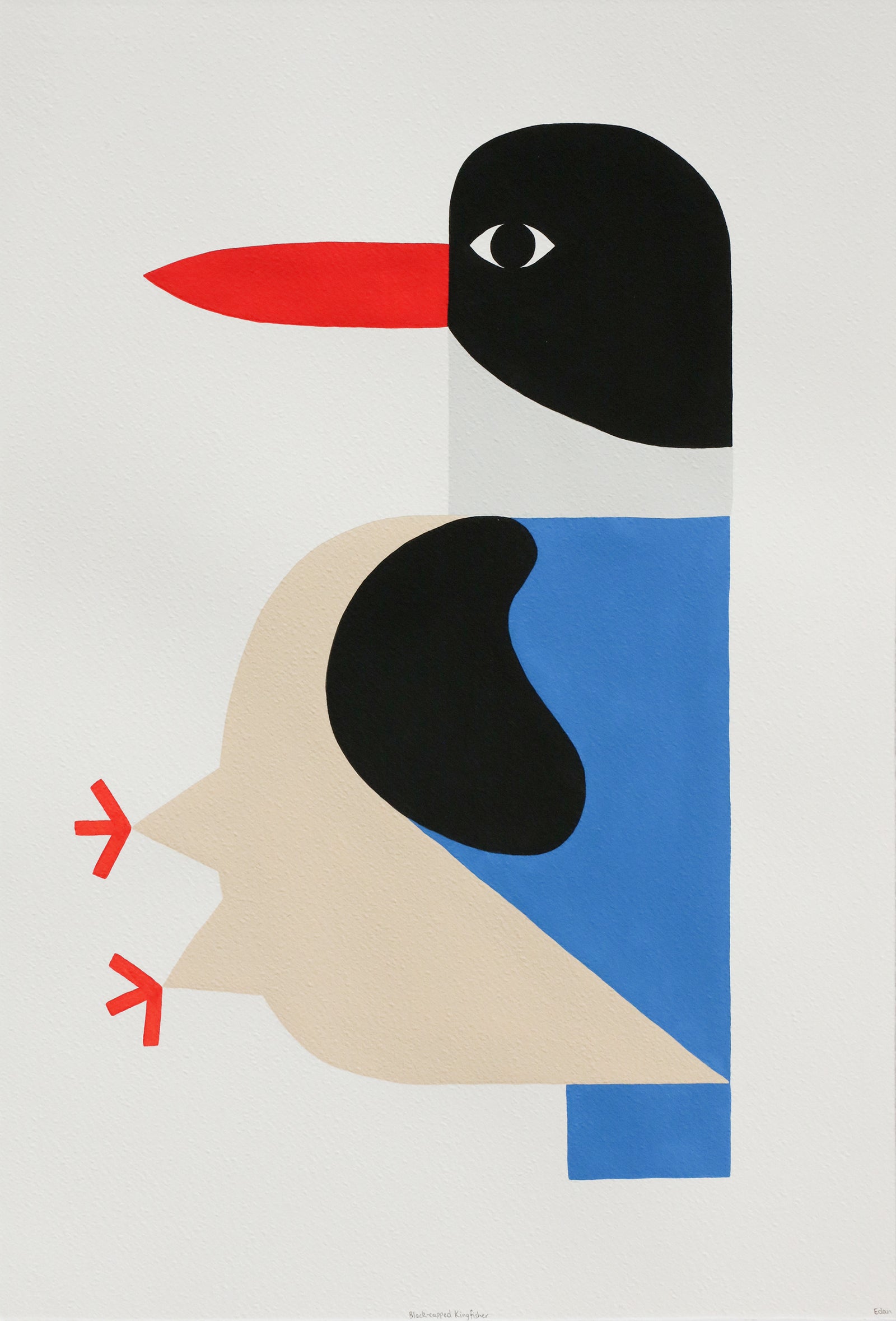 Edan Azzopardi | Black-capped kingfisher