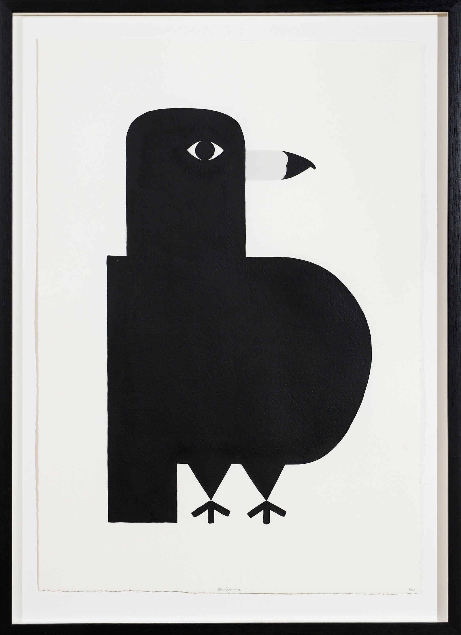 Edan Azzopardi | Black butcherbird